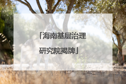 海南基层治理研究院揭牌
