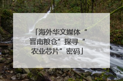 海外华文媒体“晋南粮仓”探寻“农业芯片”密码