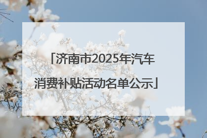 济南市2025年汽车消费补贴活动名单公示