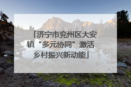 济宁市兖州区大安镇“多元协同”激活乡村振兴新动能