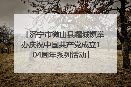 济宁市微山县驩城镇举办庆祝中国共产党成立104周年系列活动