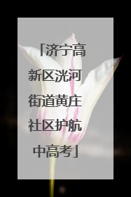 济宁高新区洸河街道黄庄社区护航中高考