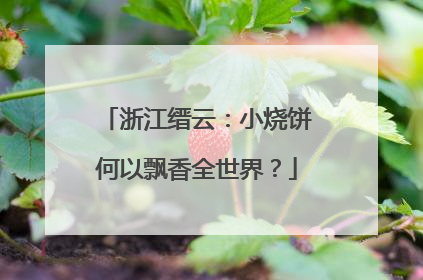 浙江缙云：小烧饼何以飘香全世界？