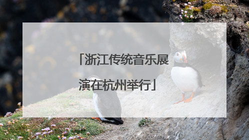浙江传统音乐展演在杭州举行