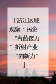 浙江区域观察：民企“青蓝接力”折射产业“向新力”