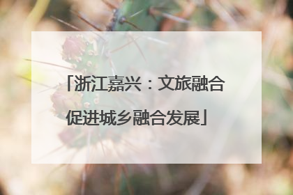 浙江嘉兴：文旅融合促进城乡融合发展