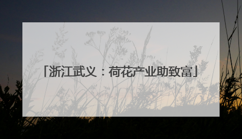 浙江武义：荷花产业助致富