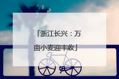 浙江长兴：万亩小麦迎丰收