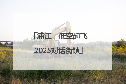 浦江，低空起飞｜2025对话街镇