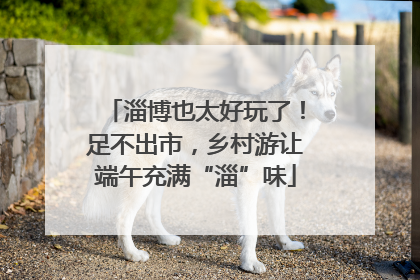 淄博也太好玩了！足不出市，乡村游让端午充满“淄”味