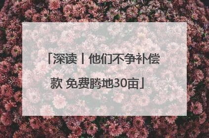 深读丨他们不争补偿款 免费腾地30亩