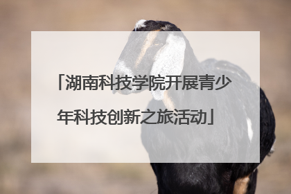 湖南科技学院开展青少年科技创新之旅活动