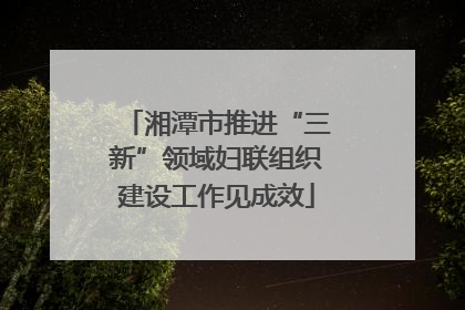 湘潭市推进“三新”领域妇联组织建设工作见成效