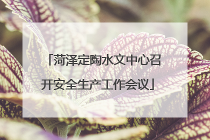 菏泽定陶水文中心召开安全生产工作会议