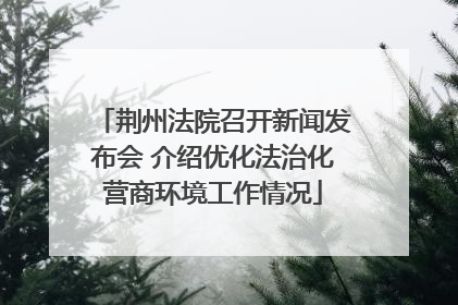 荆州法院召开新闻发布会 介绍优化法治化营商环境工作情况