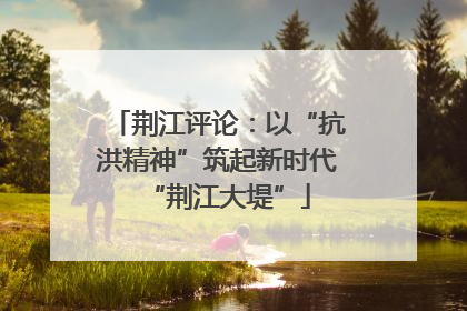 荆江评论：以“抗洪精神”筑起新时代“荆江大堤”