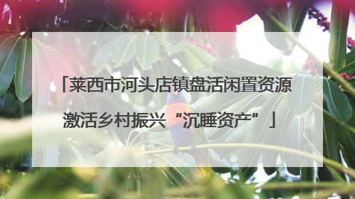 莱西市河头店镇盘活闲置资源 激活乡村振兴“沉睡资产”