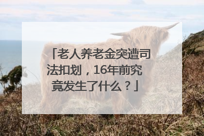 老人养老金突遭司法扣划，16年前究竟发生了什么？