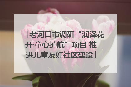 老河口市调研“润泽花开·童心护航”项目 推进儿童友好社区建设