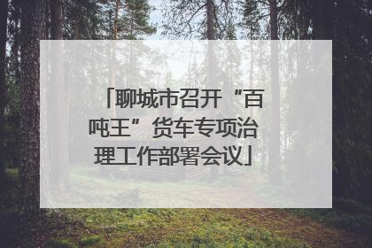 聊城市召开“百吨王”货车专项治理工作部署会议