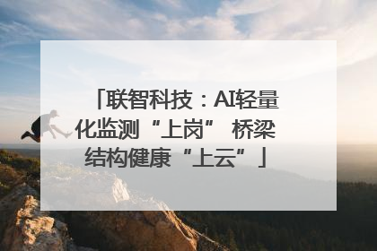 联智科技：AI轻量化监测“上岗” 桥梁结构健康“上云”