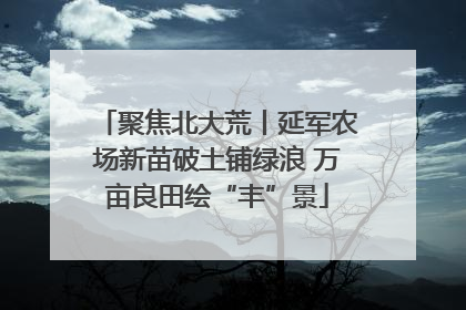 聚焦北大荒丨延军农场新苗破土铺绿浪 万亩良田绘“丰”景