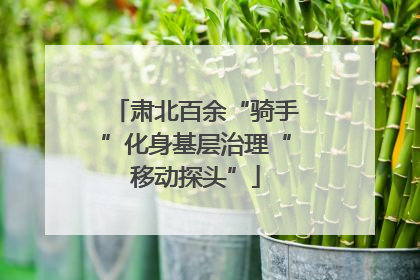 肃北百余“骑手”化身基层治理“移动探头”