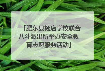 肥东县杨店学校联合八斗派出所举办安全教育志愿服务活动