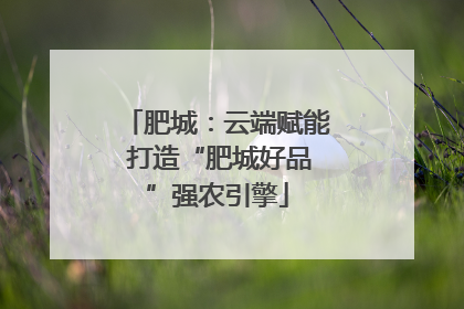 肥城：云端赋能 打造“肥城好品”强农引擎
