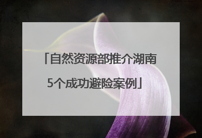 自然资源部推介湖南5个成功避险案例