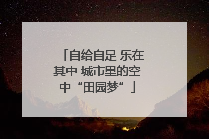 自给自足 乐在其中 城市里的空中“田园梦”