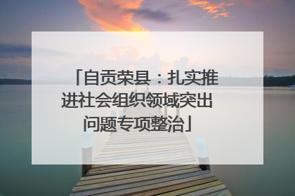 自贡荣县：扎实推进社会组织领域突出问题专项整治