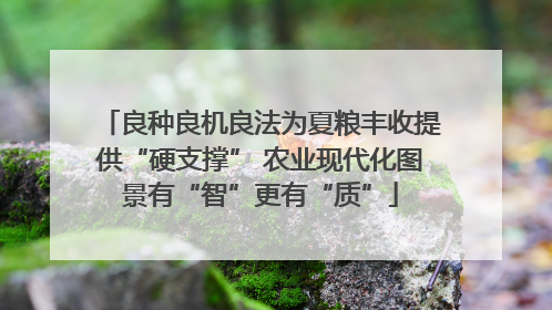 良种良机良法为夏粮丰收提供“硬支撑” 农业现代化图景有“智”更有“质”