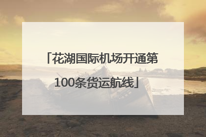 花湖国际机场开通第100条货运航线