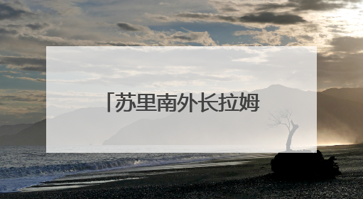 苏里南外长拉姆丁正式出任美洲国家组织秘书长
