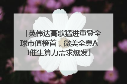 英伟达高歌猛进重登全球市值榜首，微美全息AI催生算力需求爆发
