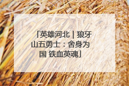 英雄河北｜狼牙山五勇士：舍身为国 铁血英魂