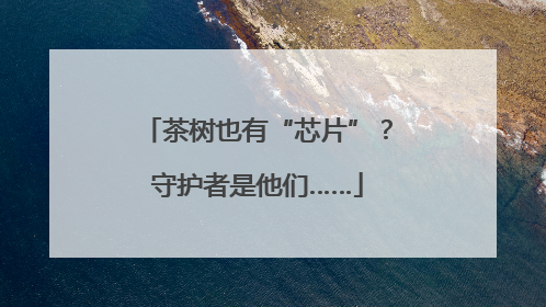 茶树也有“芯片”？守护者是他们……