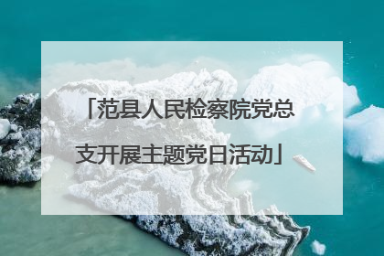 范县人民检察院党总支开展主题党日活动
