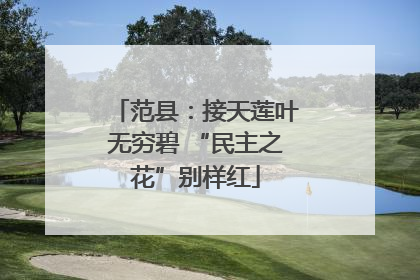 范县：接天莲叶无穷碧 “民主之花”别样红