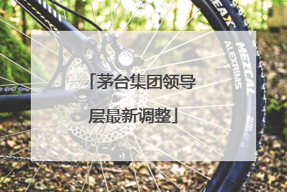 茅台集团领导层最新调整