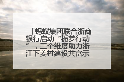 蚂蚁集团联合浙商银行启动“栀梦行动”，三个维度助力浙江下姜村建设共富示范区示范点