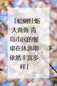 蛤蜊牡蛎大黄鱼 青岛市民的餐桌在休渔期依然丰富多样