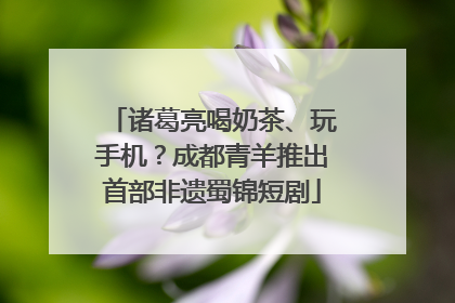 诸葛亮喝奶茶、玩手机？成都青羊推出首部非遗蜀锦短剧