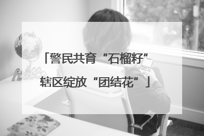 警民共育“石榴籽” 辖区绽放“团结花”
