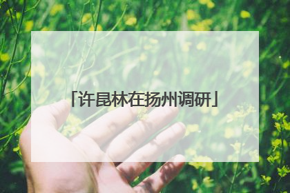 许昆林在扬州调研