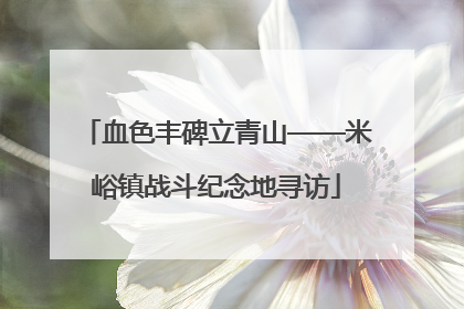 血色丰碑立青山——米峪镇战斗纪念地寻访
