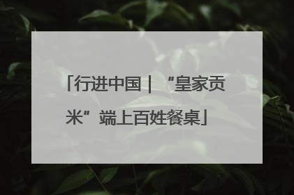 行进中国｜“皇家贡米”端上百姓餐桌