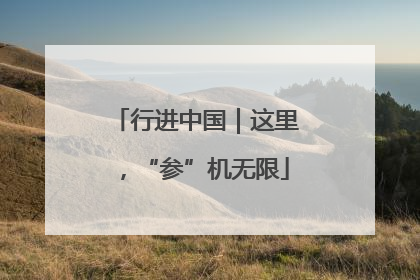行进中国｜这里，“参”机无限