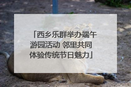 西乡乐群举办端午游园活动 邻里共同体验传统节日魅力